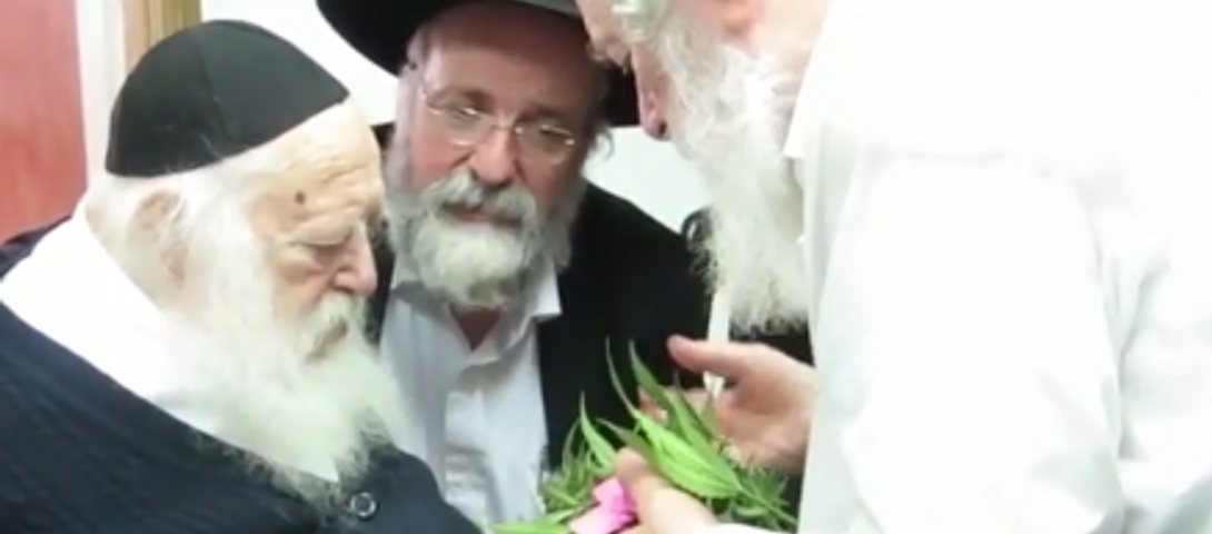 Раввин нью йорка