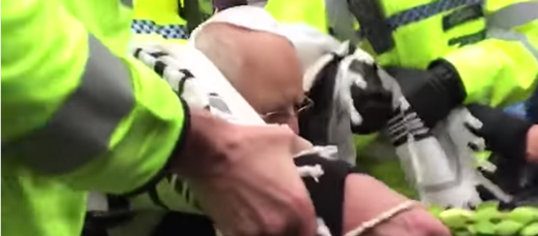 WATCH: Lulav-Wielding 77-Year-Old Rabbi Dragged Away By Police At Climate Protest