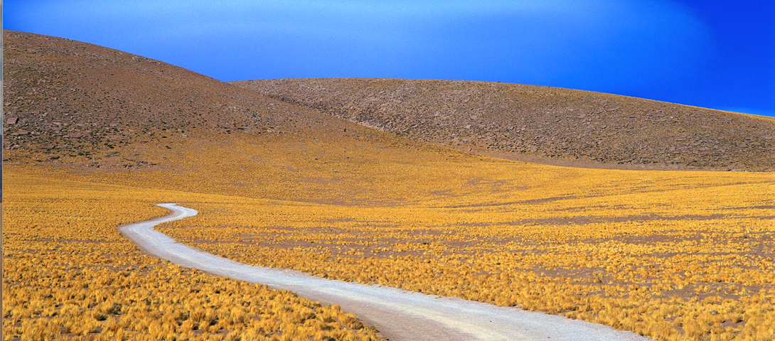 In Chile, where Jewish writers sought a literary utopia – The Forward