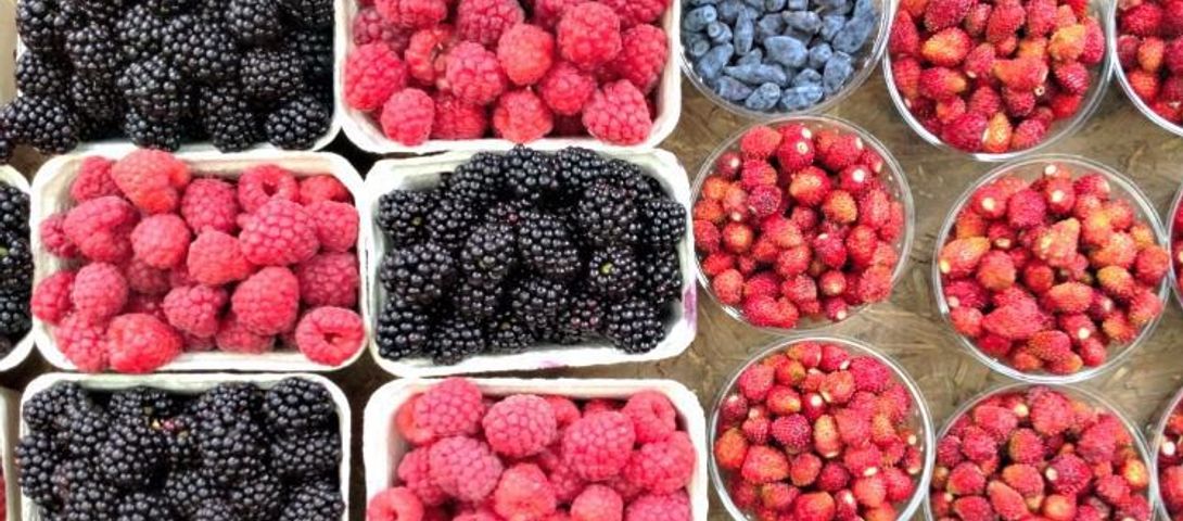 My Berry Breakfast In Krakow The Forward