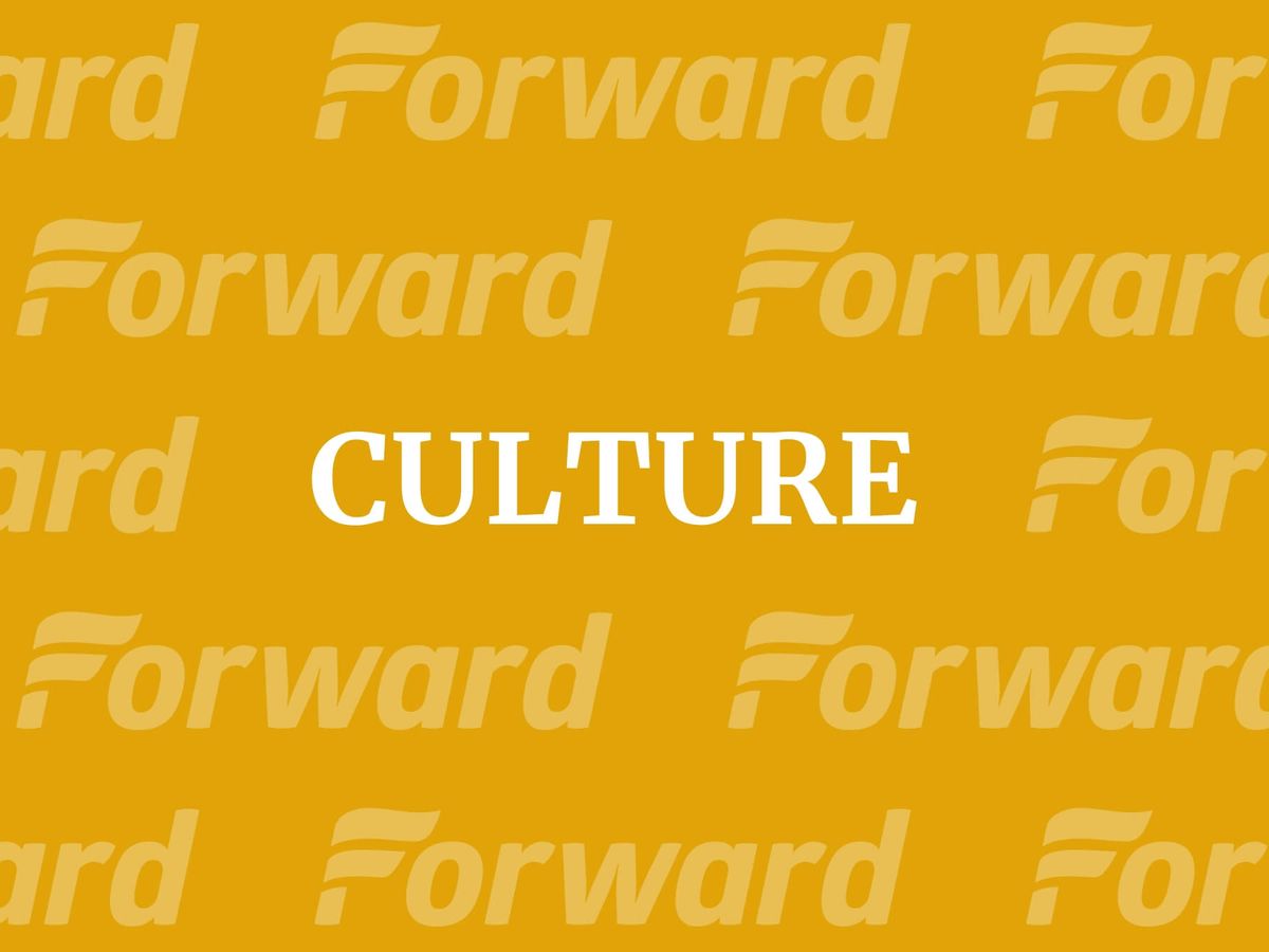 dressy long cardigans