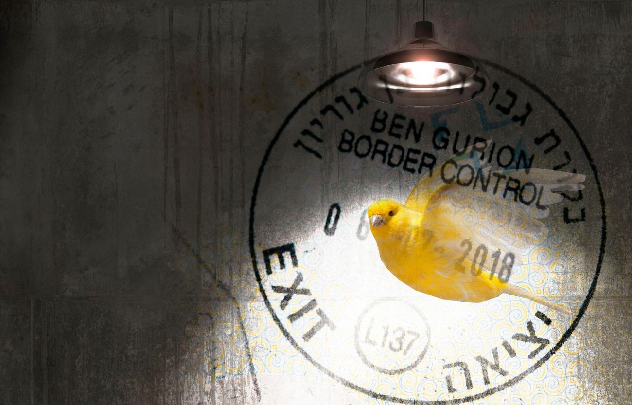 Canary Mission’s Threat Grows, From U.S. Campuses To The Israeli Border by the Forward