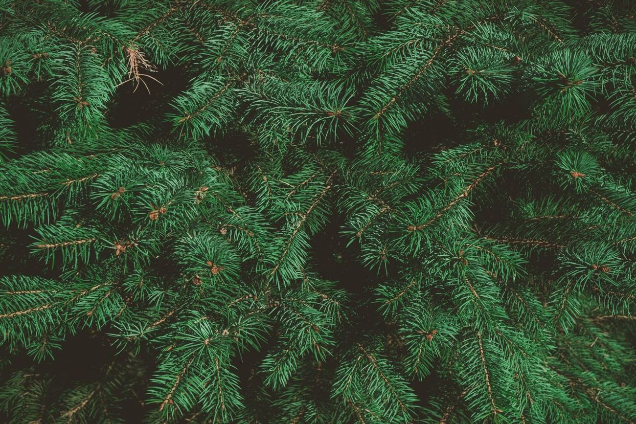 Top 10 Reasons It’s Great Being Jewish On Christmas