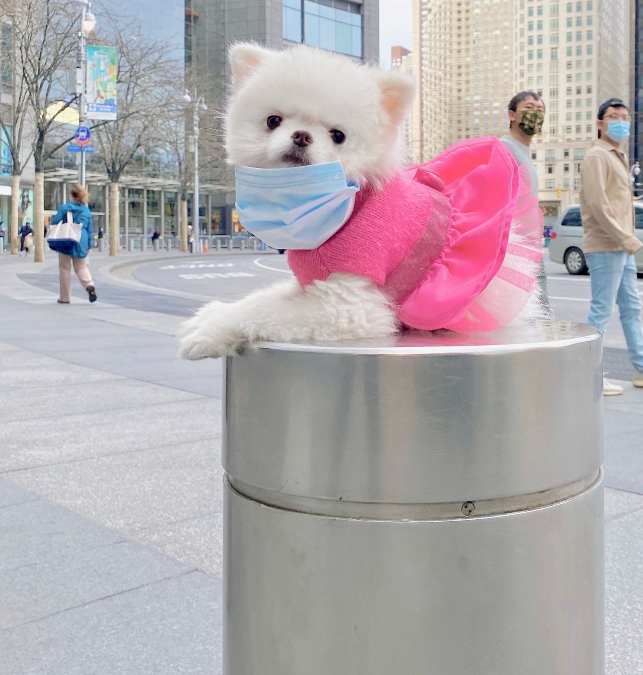 kiss-in-colombus-circle-n95-