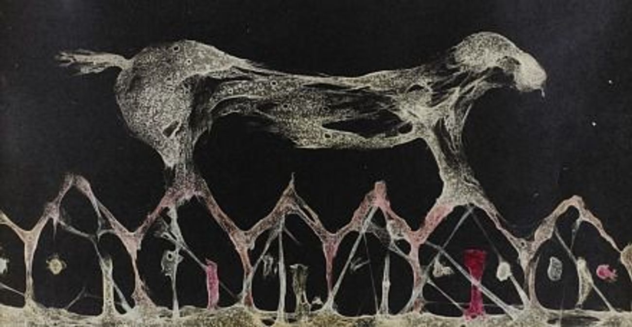 Battling Horror With the Absurd – The Forward