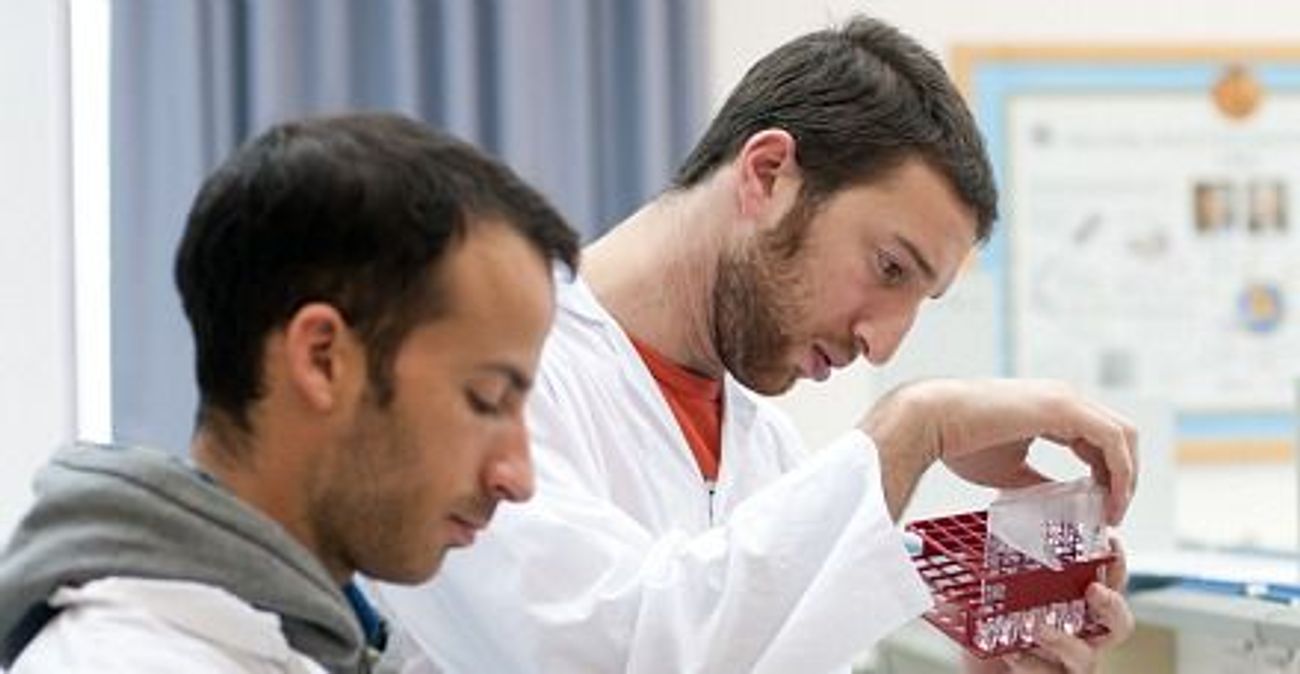 Science Jews Should Israeli Science Speak Hebrew? – The Forward