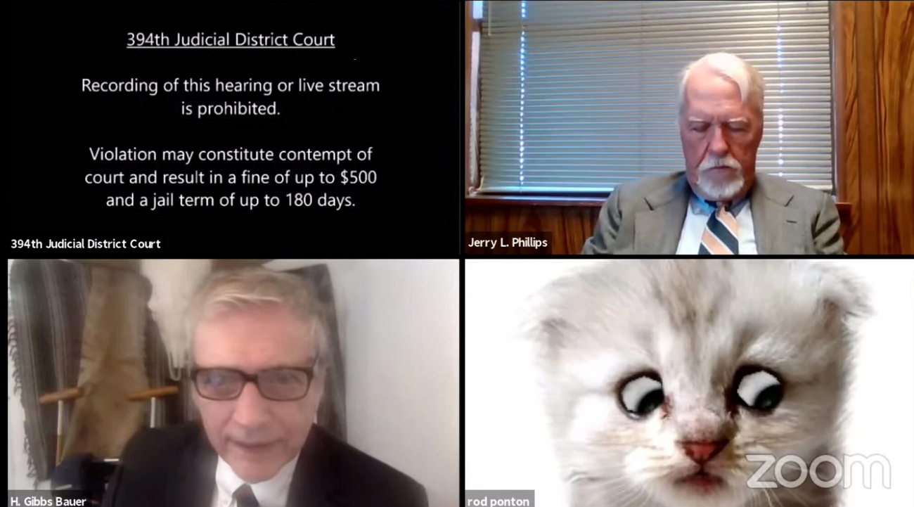 A viral cat lawyer drew national attention The Forward