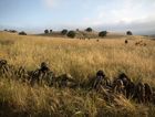 Israeli soldiers of "Netzah Yehuda" take part in annual unit training in the Israeli annexed Golan Heights on May 19, 2014. by the Forward
			