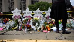 Tree of life by the Forward
			