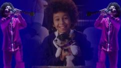 Ethan Hollingsworth performing in the "Puppy for Hanukkah" music video by the Forward
			