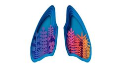 Lungs with plants growing inside them. by the Forward
			