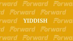 vilna museum by the Forward
			