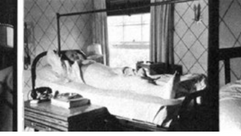 Herman in bed -- with cast -- in Victorville. by the Forward
			