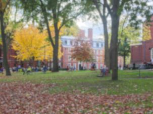 Blurred background of Harvard Yard in the fall. by the Forward 			