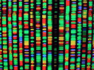 Human Biodiversity: the Pseudoscientific Racism of the Alt-Right by the Forward