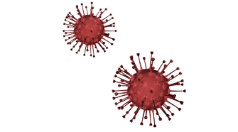 Is Controversial Circumcision Ritual Dangerous? – The Forward