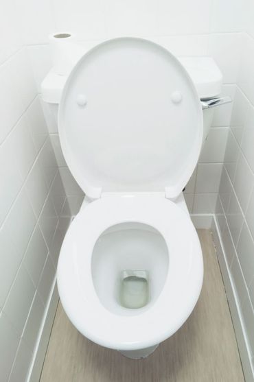 Jerum S Top Johns Which Toilets Make Cut The Forward Jenny Mollens Got Bat Mitzvahed At The Western Wall In A Shawl Embroidered With Her Dog S Name