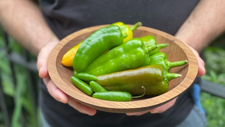 Sweet green peppers by the Forward 