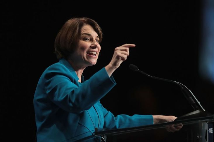 Democratic presidential candidate and Minnesota senator Amy Klobuchar speaks at the Iowa Democratic Party's Hall of Fame Dinner on June 9, 2019 in Cedar Rapids, Iowa.