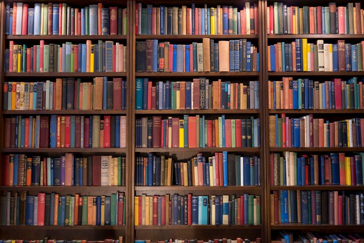 Bookshelf