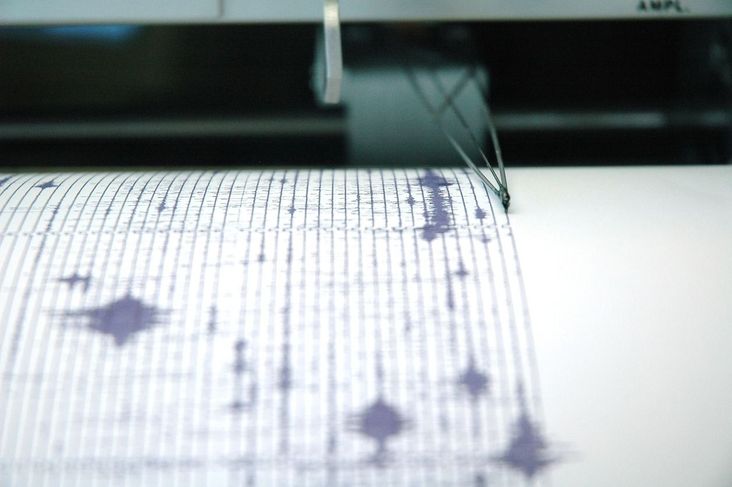 Earthquake seismograph