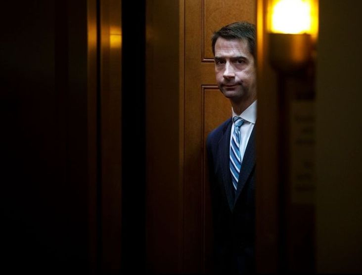 tom cotton