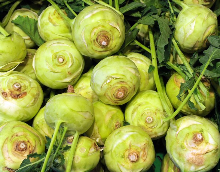 Kohlrabi