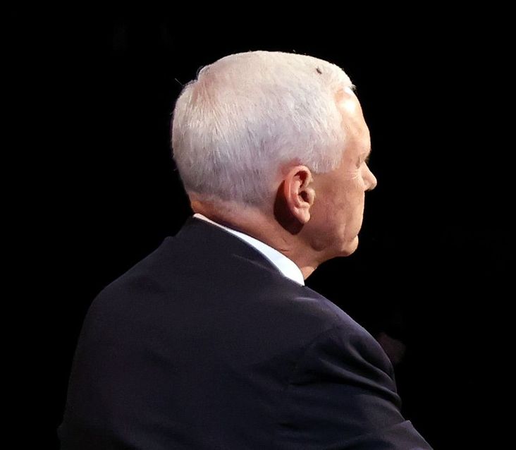 A fly that landed on Mike Pence's head during the 2020 Vice Presidential Debate.