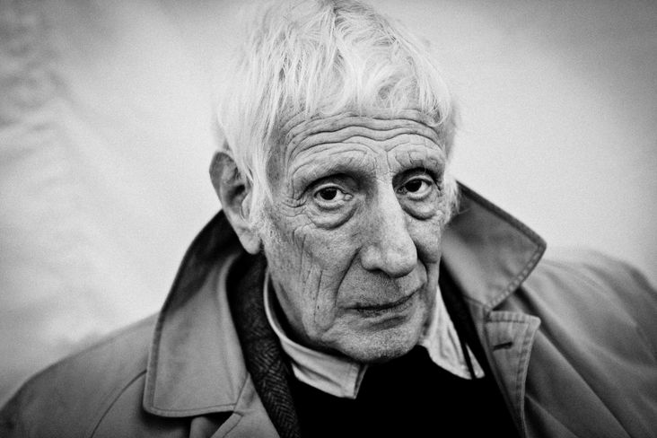 Jonathan Miller