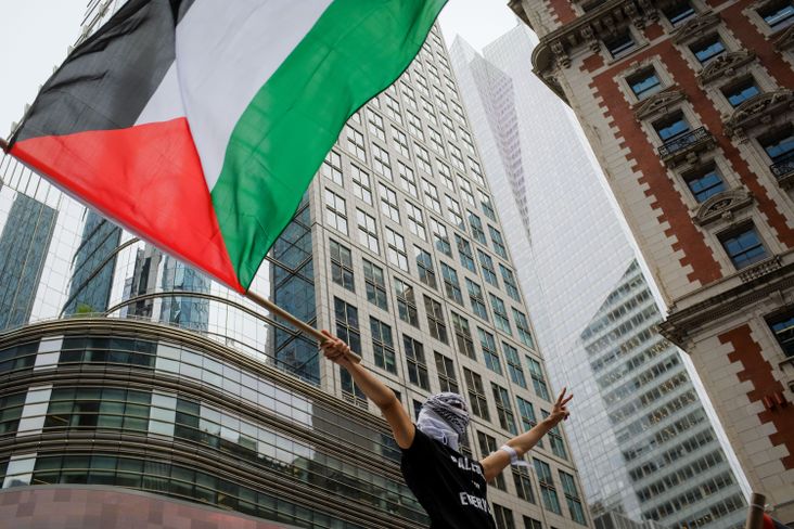 A person waves a Palestinian flag at a rally in support of the Palestinian people in New York City
