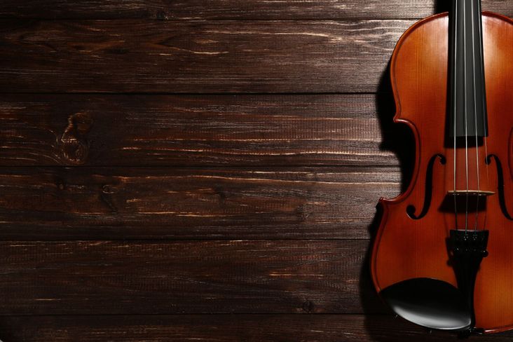 A violin