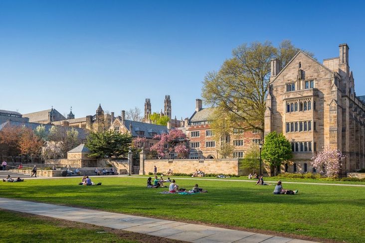 Yale's student government voted to adopt a statement of condemnation against Israel.