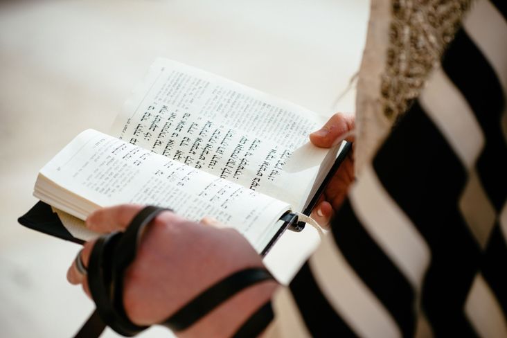 Religious Jewish believer reading Torah and praying
