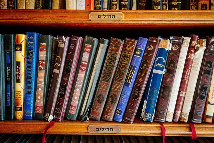 Jewish bookshelf