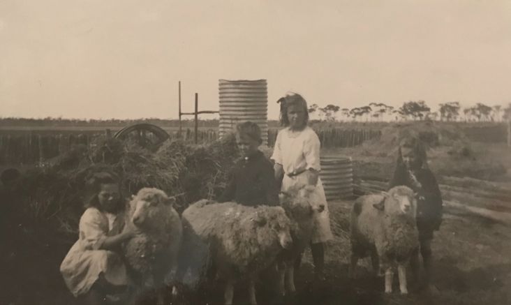 Mum, Ann, Joan and Tom with sheep.