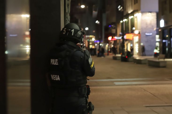 Vienna policeman