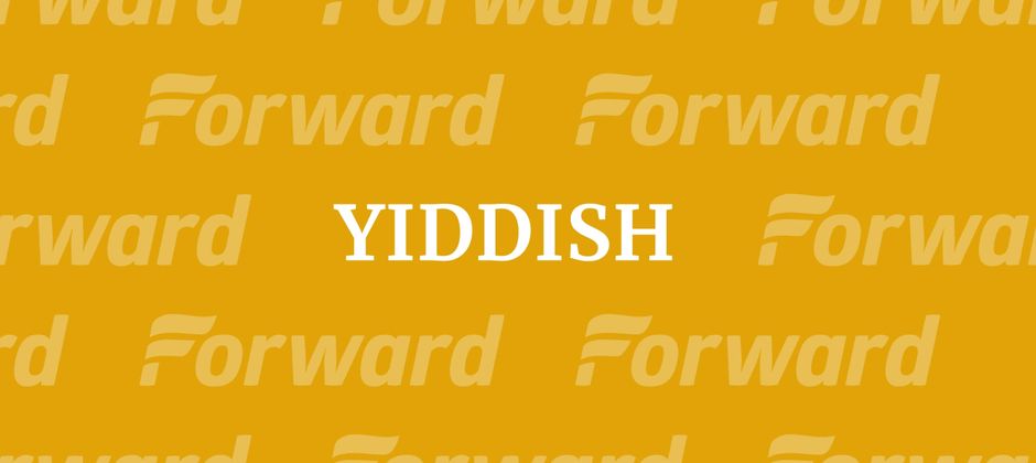 Bialy Video 2 by the Forward